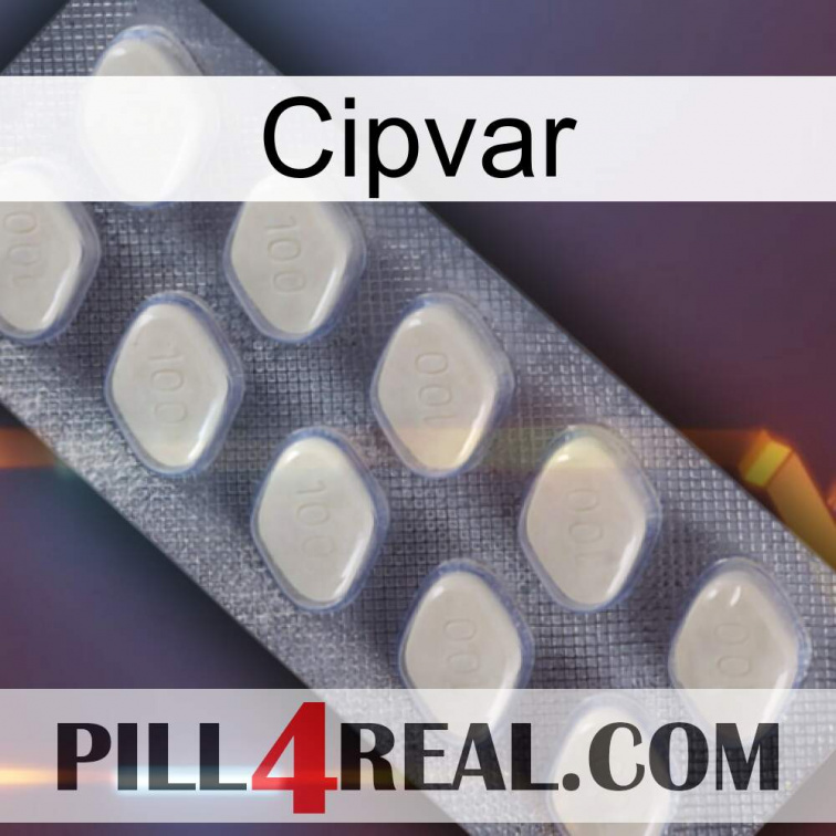 Cipvar 08